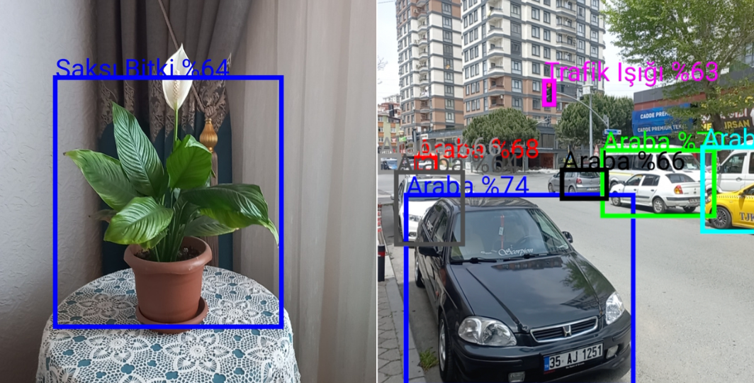 Yapay Zeka Destekli Görme Engelli Bireyler için Trafik Işıkları ve Çevresel Nesnelerin Tespiti